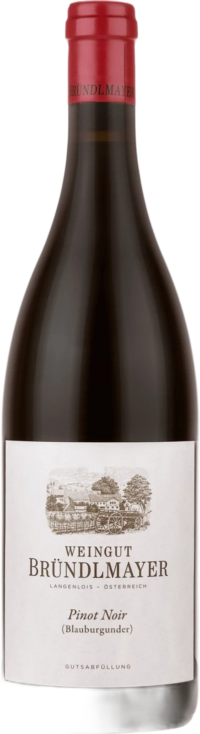 Bründlmayer Pinot Noir 2021 – Weingut Bründlmayer